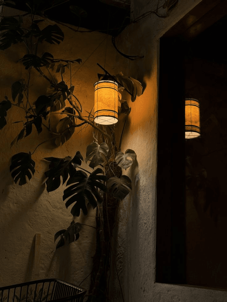 A paper lantern lit against a wall with a monstera at night